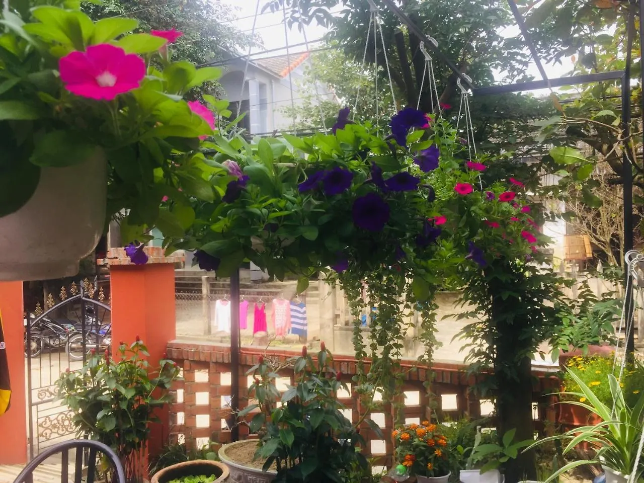 New Destination Hoi An Lejlighed Privat bolig