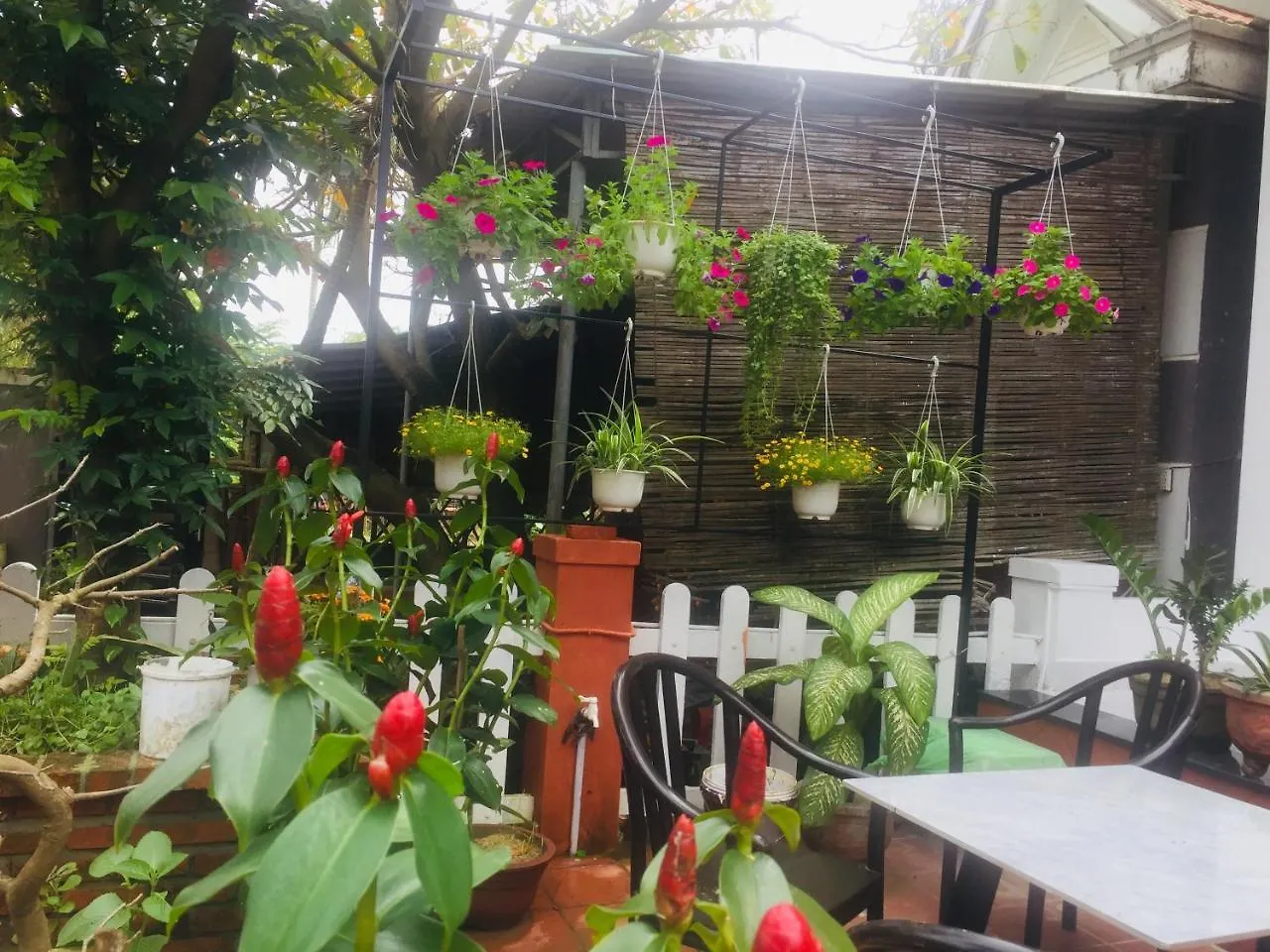 Privat bolig New Destination Hoi An Lejlighed Vietnam